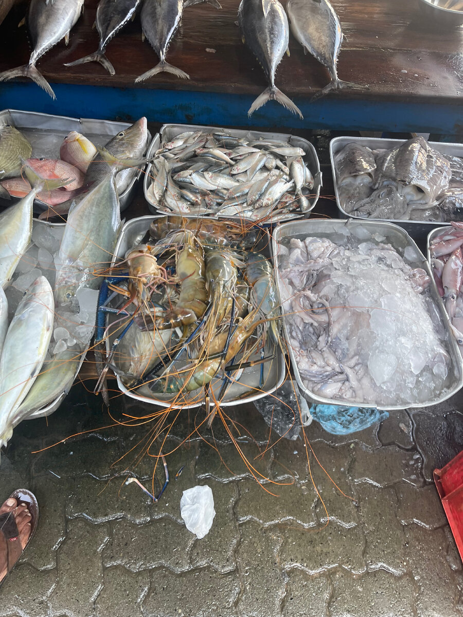  Морепродукты - настоящая гордость острова. Благодаря своему географическому положению, Шри-Ланка имеет огромный доступ к свежим морепродуктам, которые играют ключевую роль в традиционной кухне страны.
