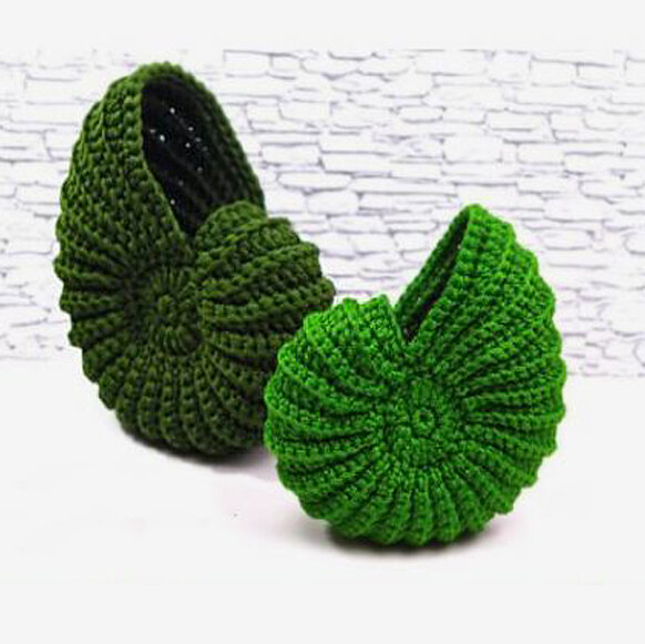    Ракушка крючкомИсточник: Скриншот из видео