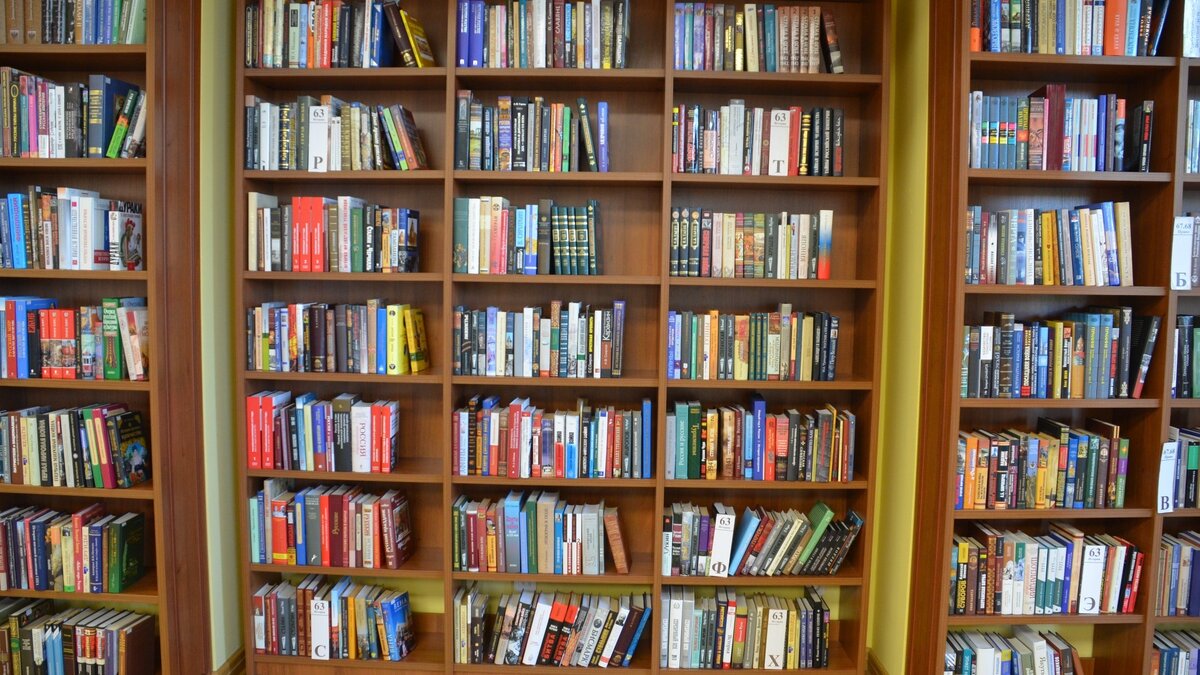     Власти региона планируют в 2023 году обновить еще 4 библиотеки в Ярском, Игринском, Малопургинском районах и Ижевске.