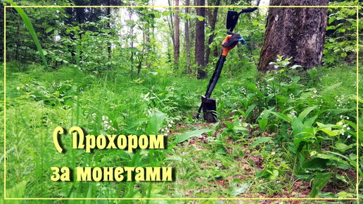 С Прохором за монетами