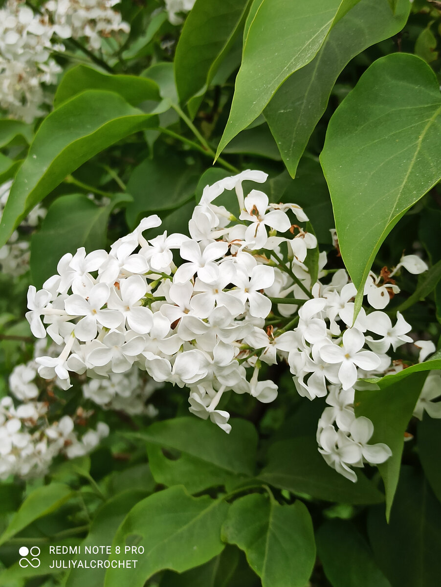 Личный архив