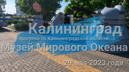 Прогулка по территории Музея Мирового Океана в Калининграде