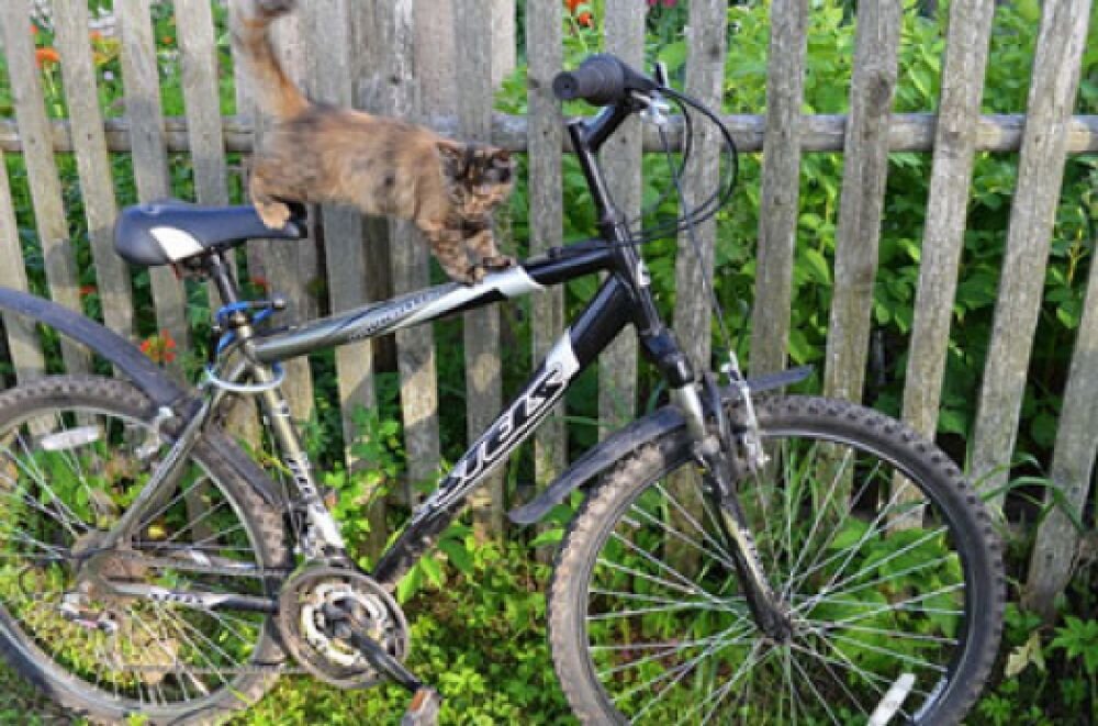 Велосипед вернулся к хозяину