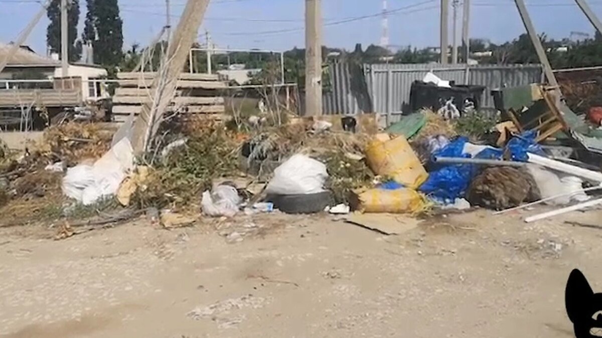     Волгоградцы пожаловались Ксении Собчак на вонючую свалку с крысами в Городище. Журналистка поделилась видео с горами мусора в своем телеграмм-канале и пристыдила местных властей.