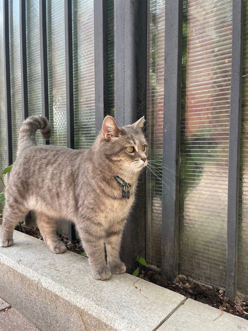 Катя. Фото: vk.com / @esenin.museum