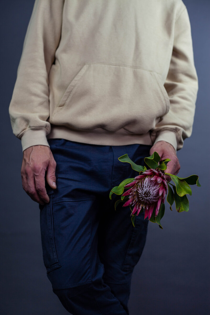 Протея в руке мужчины
