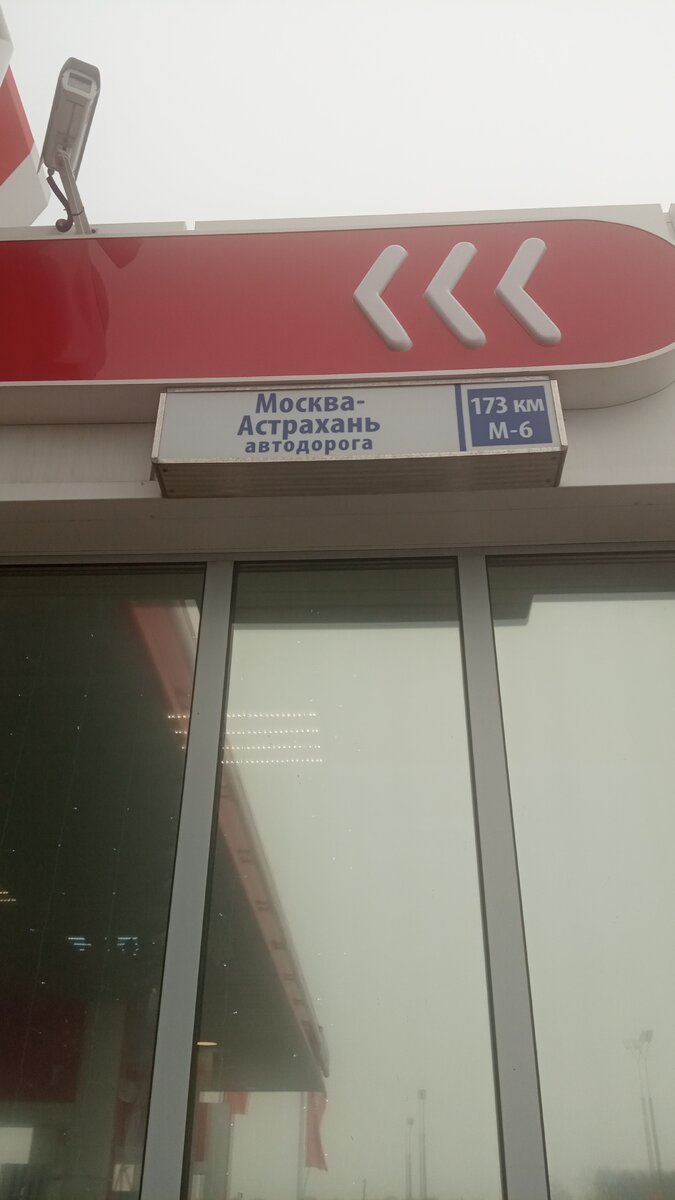 Личное фото автора. 