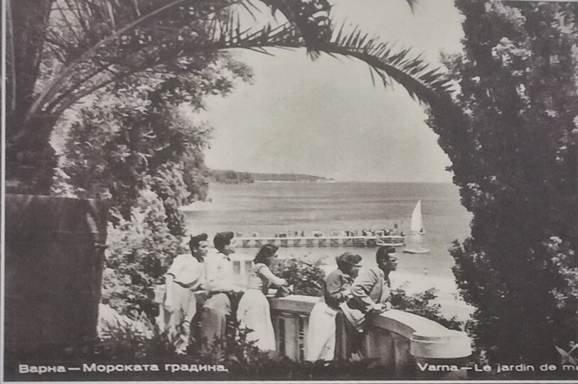 В морском саду