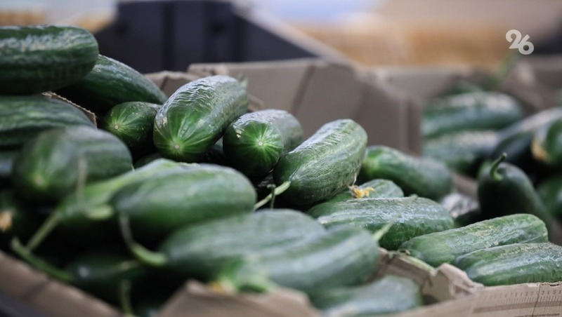 Фото: ИА «Победа26» 