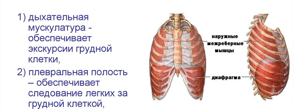 Из общедоступных источников