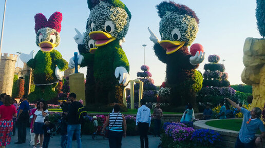 Миллионы цветов в пустыне! Dubai Miracle Garden.