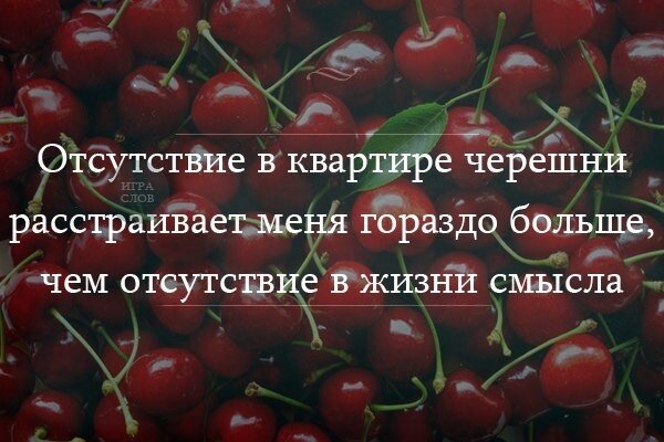 Черешня прикольные картинки