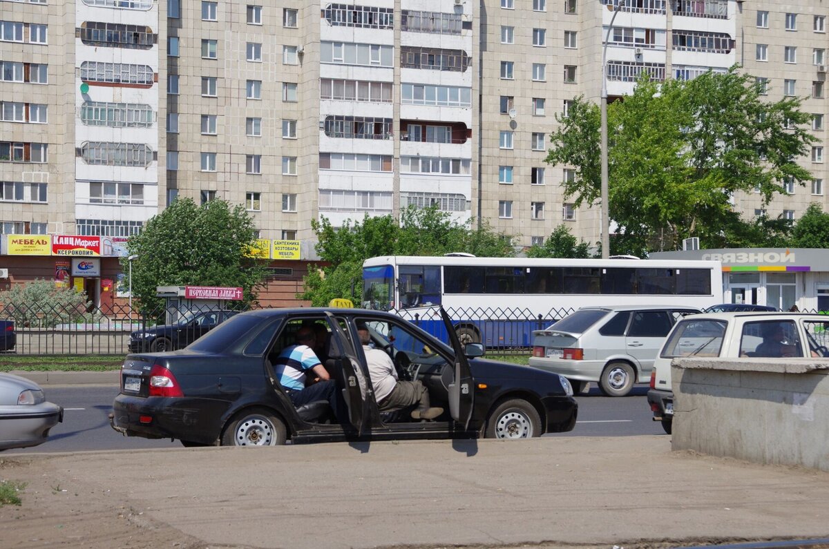 собаки в набережных челнах