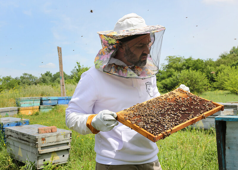 Фото: Татьяна Свириденко/ТАСС 

