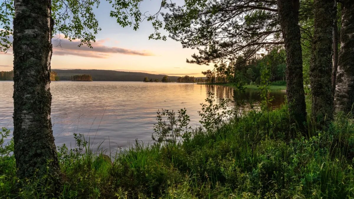 О доступных для плавания местах рассказали в столичном Роспотребнадзоре. Фото: Pxfuel.com