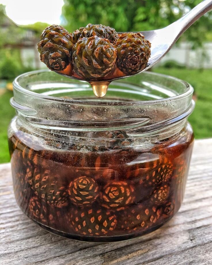 Шишковое варенье картинки
