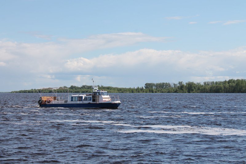   Уровень Оби в районе Нижневартовска остается на отметке 764 сантиметра
