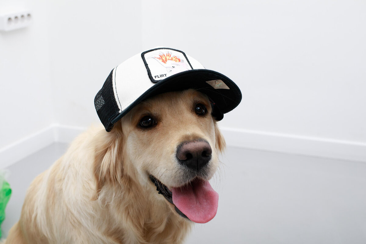 Дора в бейсболке