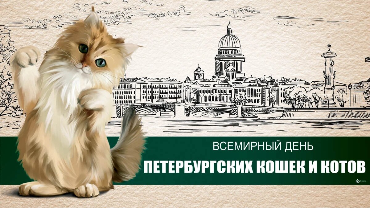 Всемирный день кошек 2023. Всемирный день кошек. День петербургских котов. Всемирный день кота. Открытки Всемирный день петербургских котов и кошек.