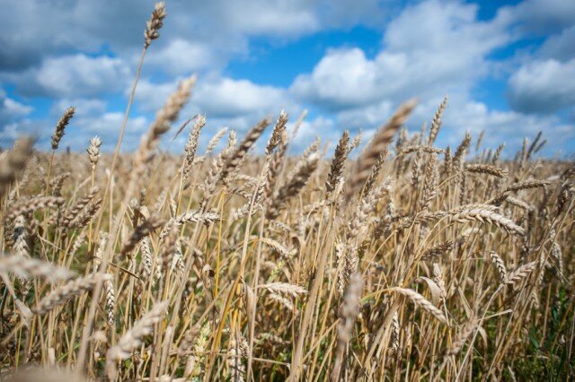   Фото из архива Калининград.Ru