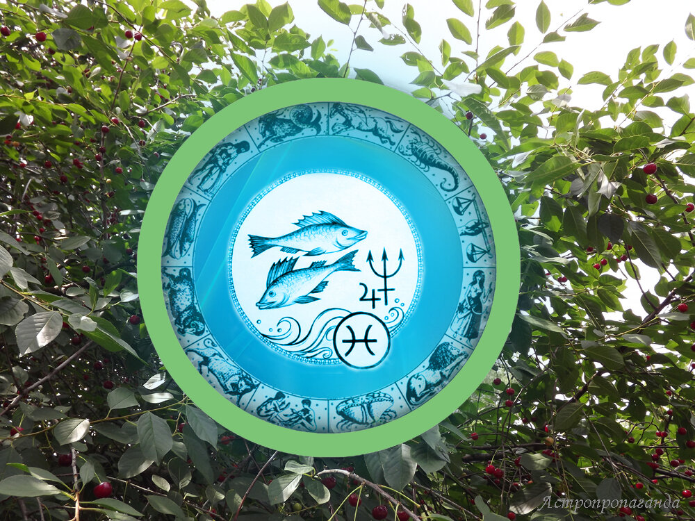 Коллаж Нины Стрелковой. 