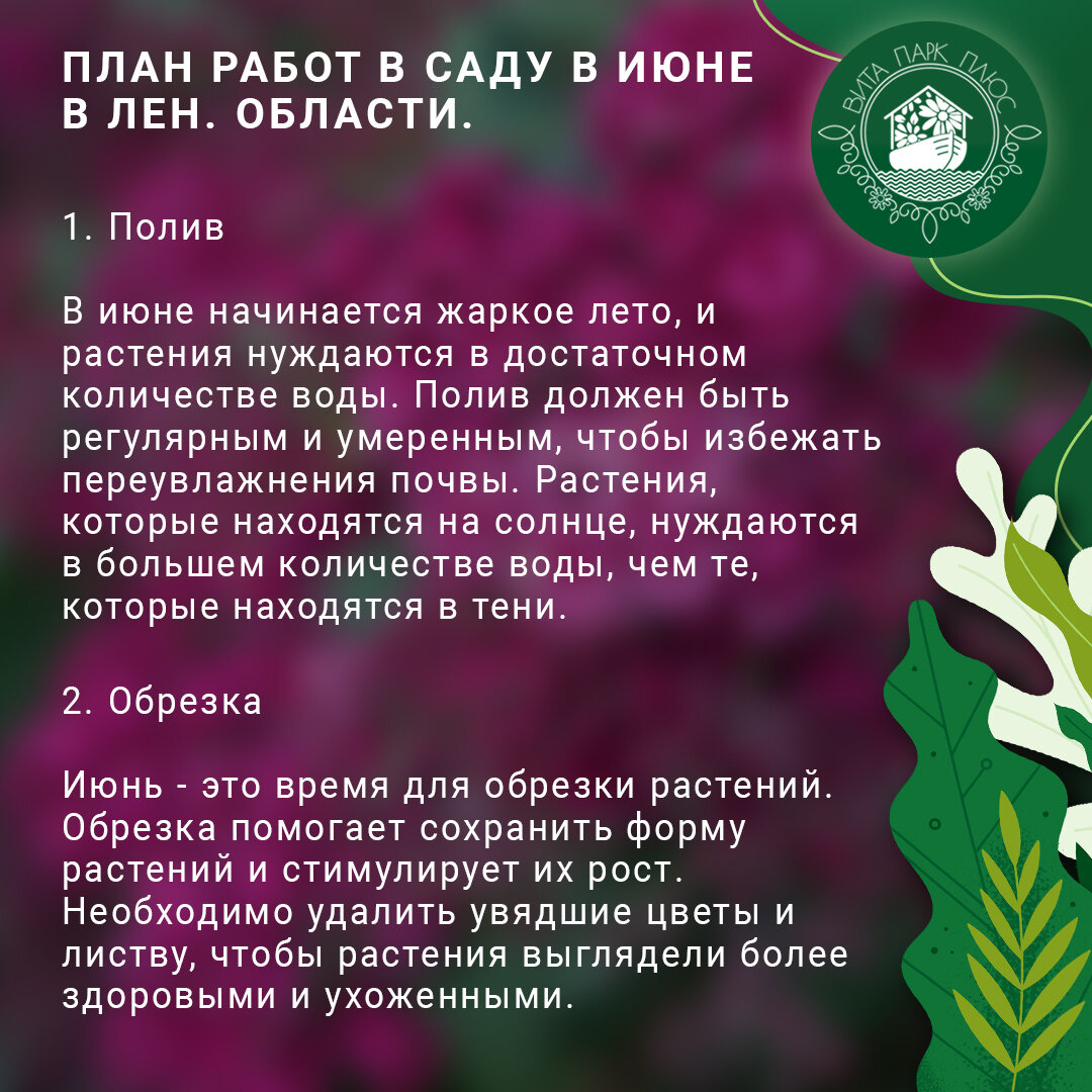 План работ в саду в июне для жителей Ленинградской области. | Вита Парк  Плюс | Дзен