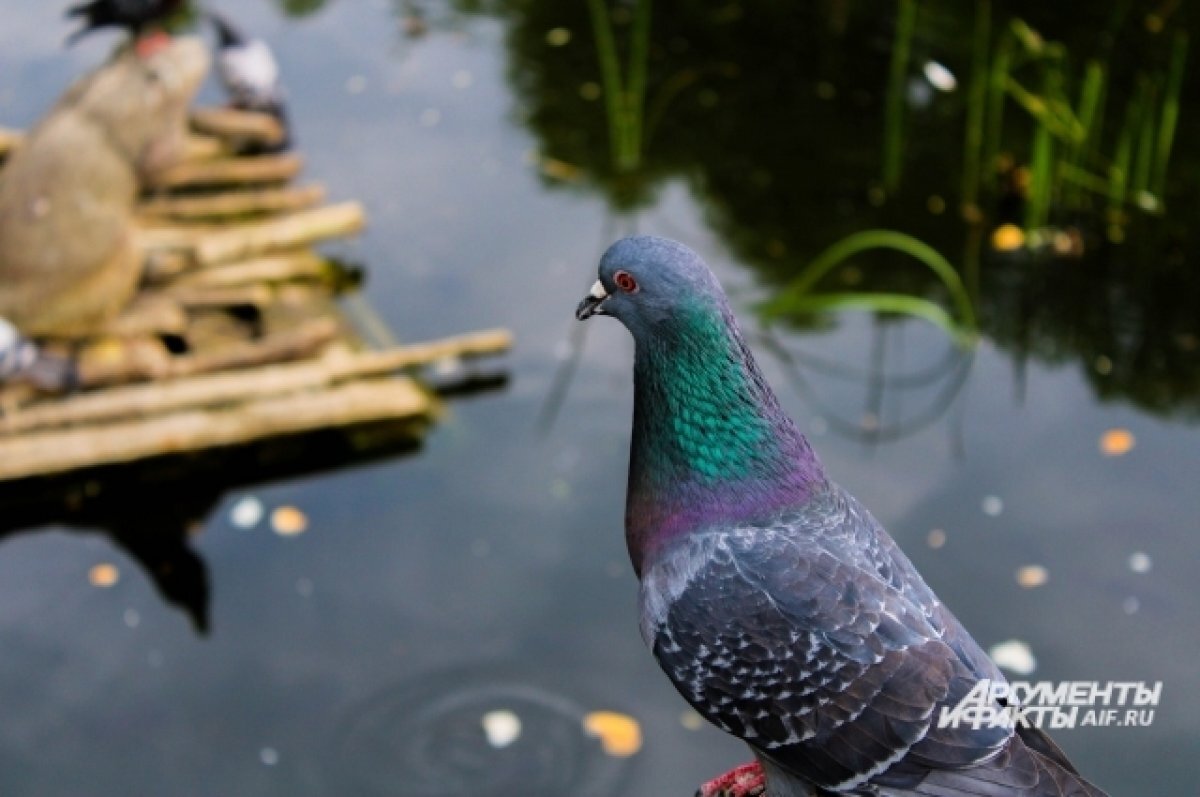    В Томске 9 июня к концу дня существенно похолодает