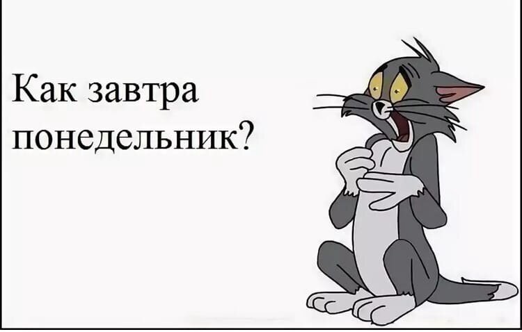 Завтра понедельник. Завтра опять понедельник. Завтра понедельник приколы. Завтра понедельник картинки.