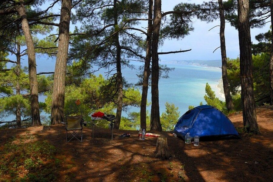Лес и море палаточный лагерь Алтай