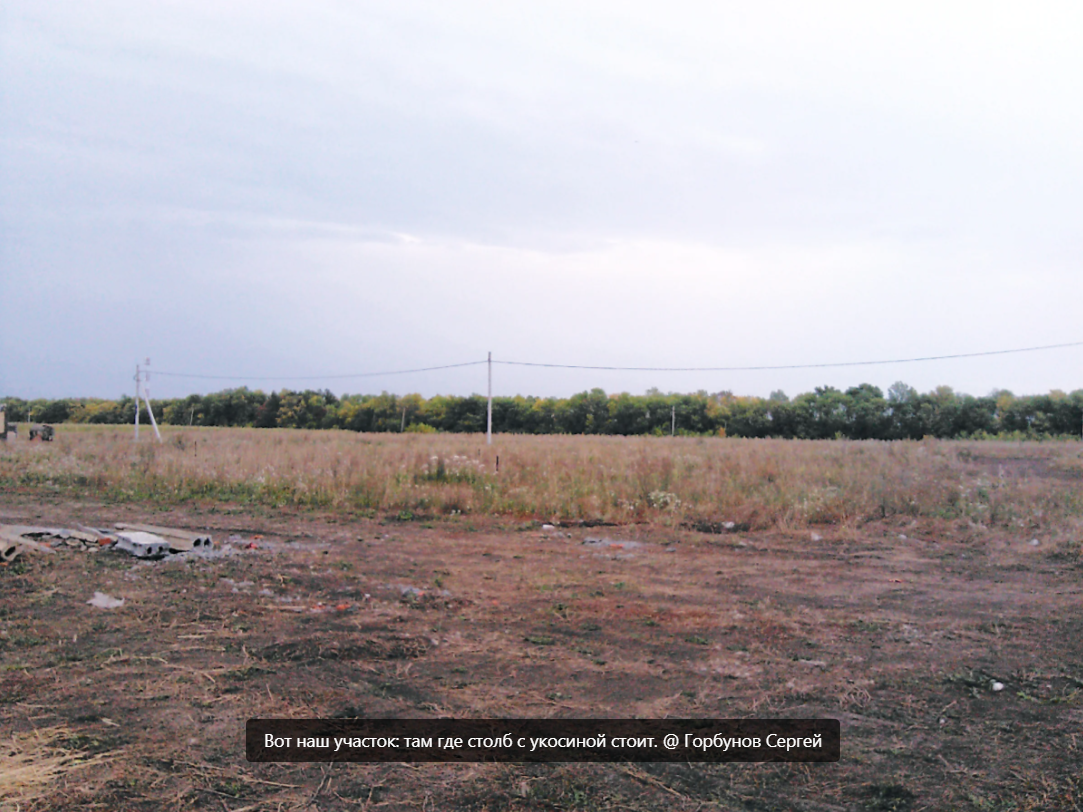 В таком состоянии покупали участок. @ Горбунов Сергей