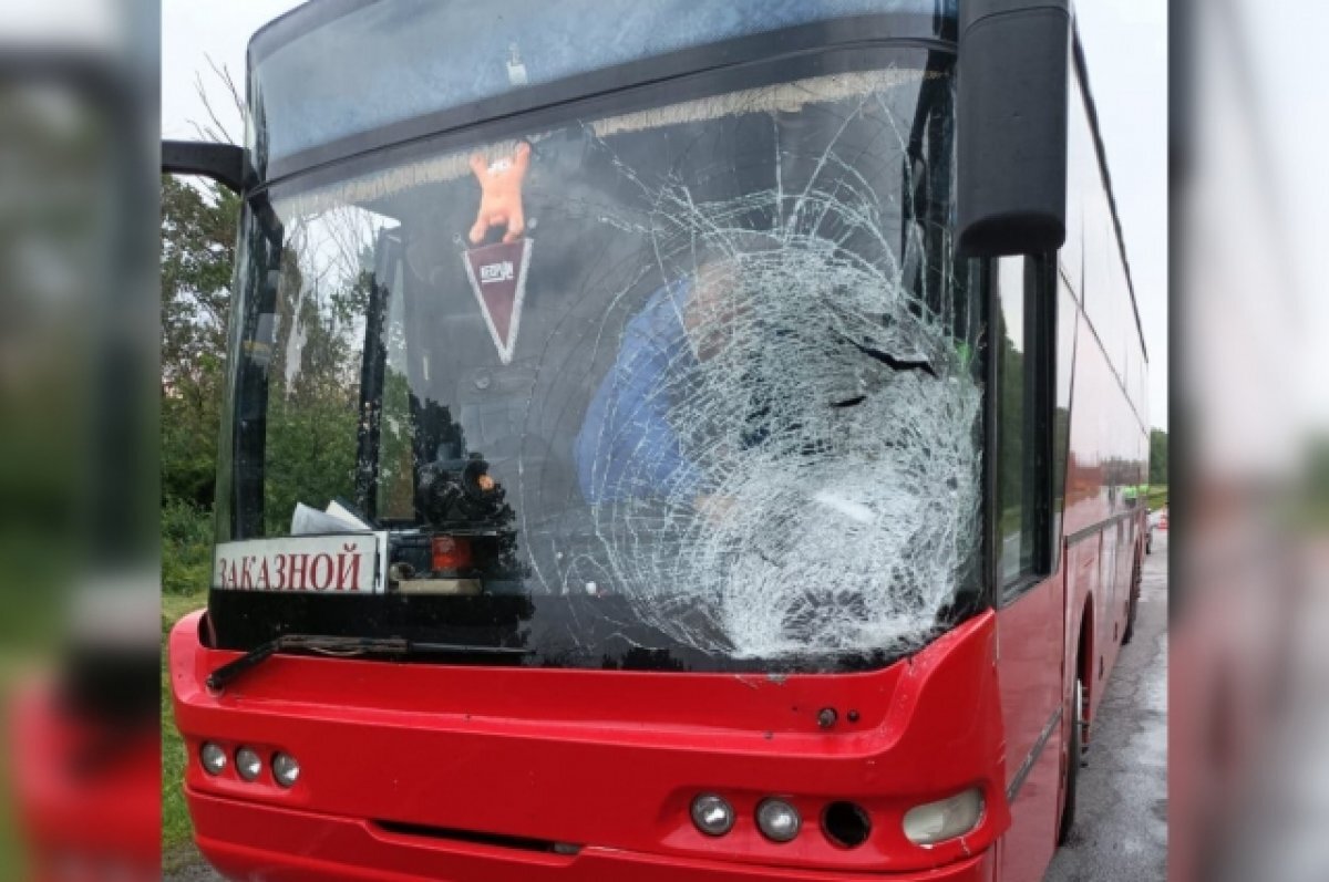    Под Воронежем пешеход погиб под колесами заказного автобуса из Белгорода