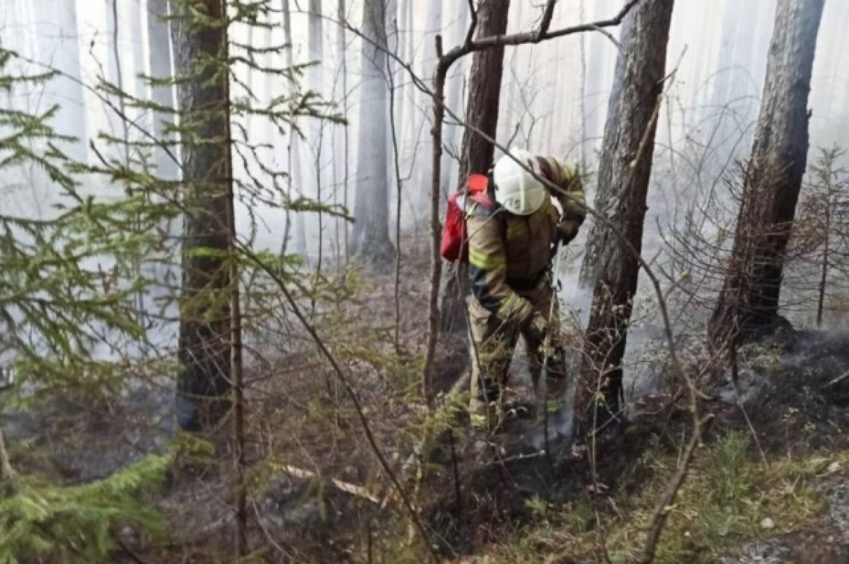    Свердловская область вошла в тройку самых пожароопасных регионов России