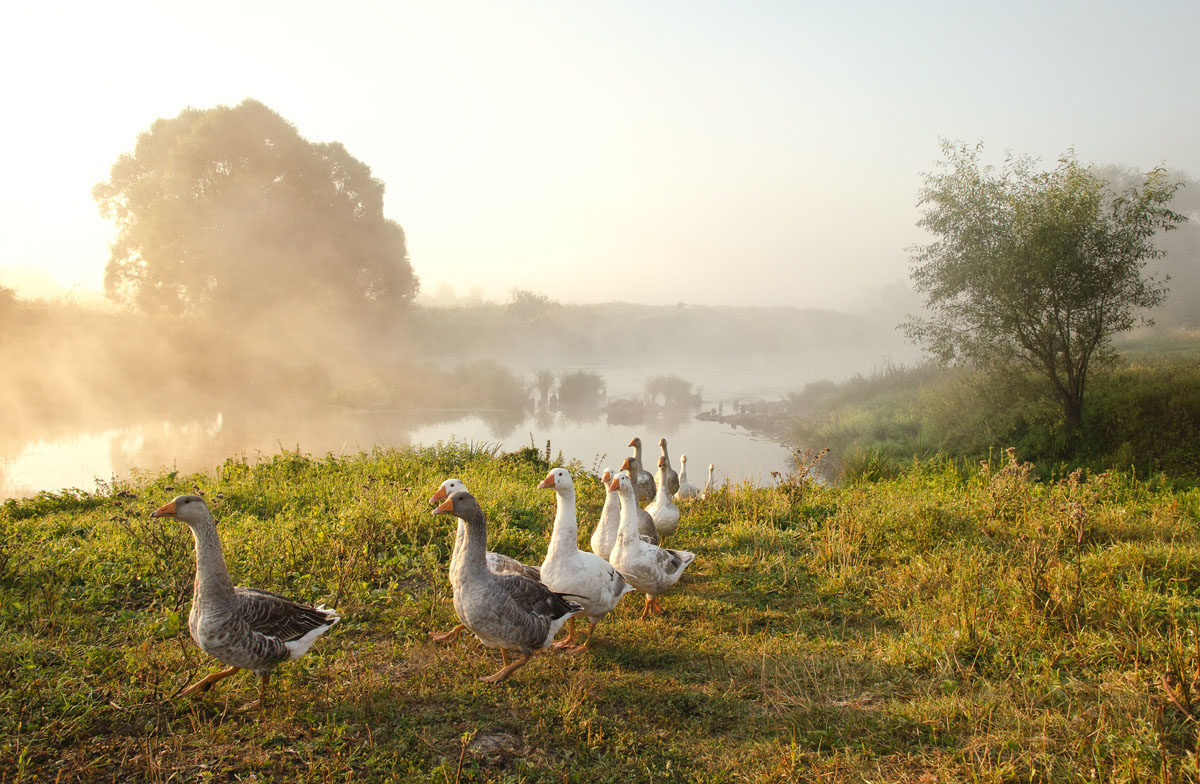 Источник proza.ru