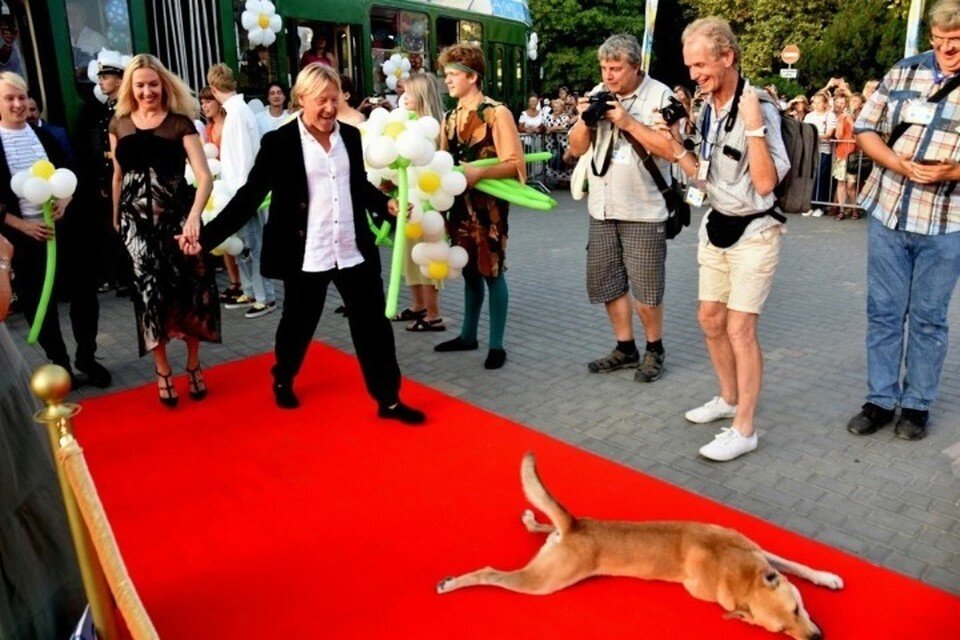    Дмитрия Харатьяна покорил харизматичный бездомный пес из Евпатории. Фото: Виталий Парубов/архив КП