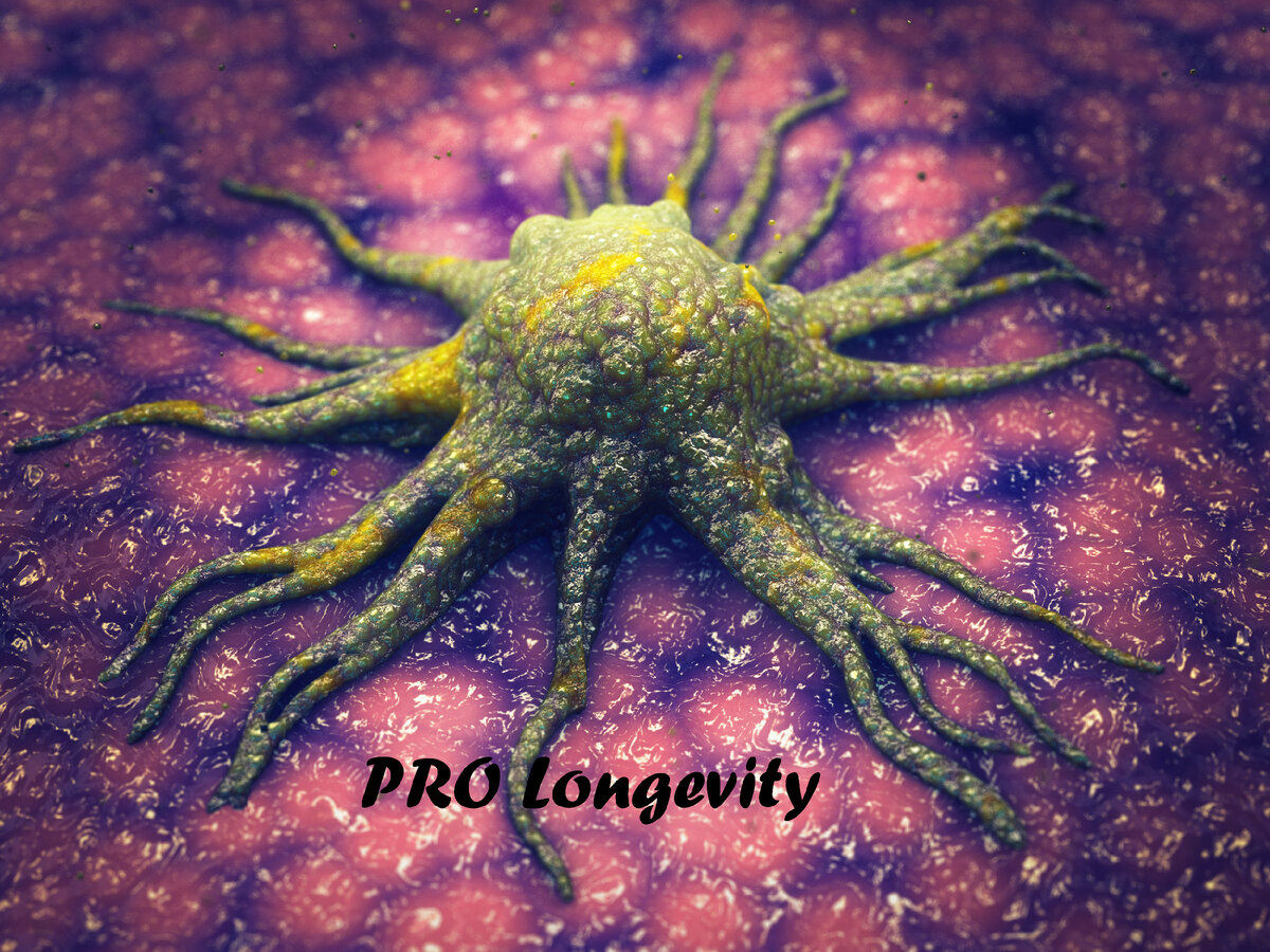 Раковая клетка.