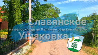 Едем по великолепным дубовым аллеям через посёлок Славянское в посёлок Ушаковка, что рядом с Куршским заливом