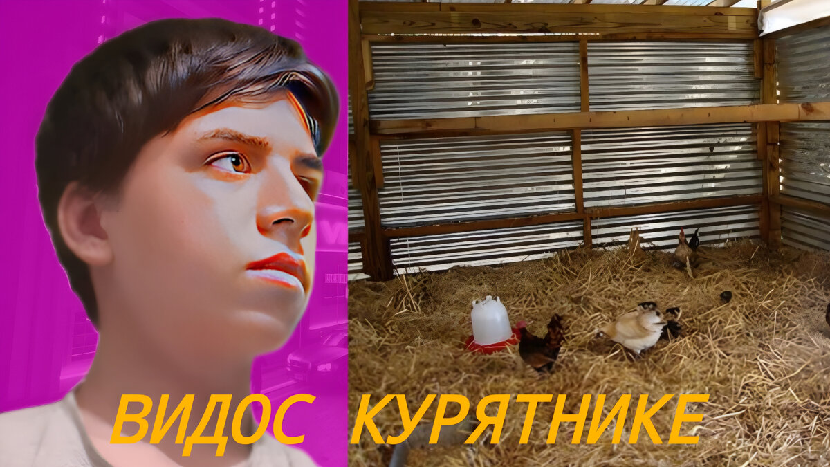 Обычный день курятнике мне стало скучно и записал видос я выпустил видео на ютуб но за 30 дней было просмотров 0 а потом рутуб через 30 дней тожо самое а теперь дзен, да это видео было создана 2 месяца назад.