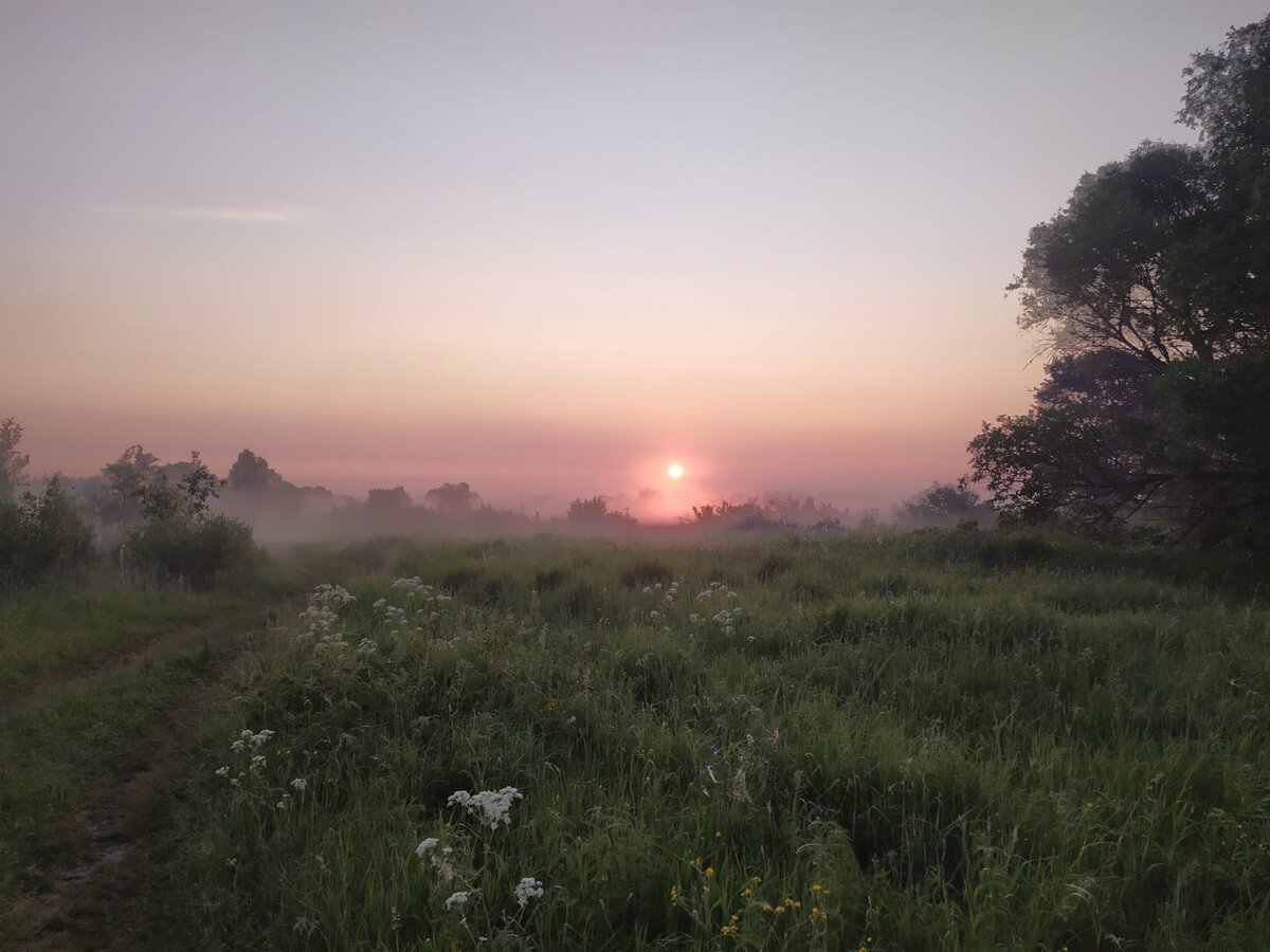 Солнце встаёт