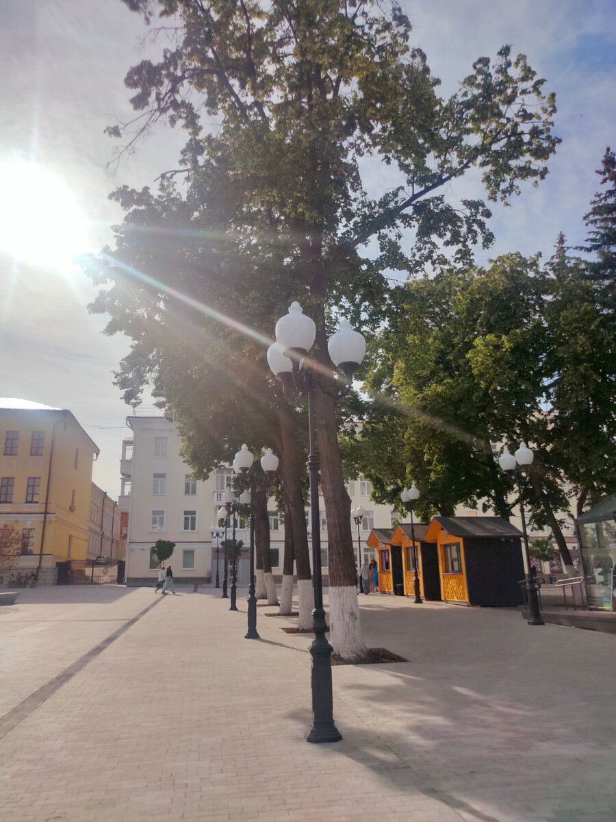 Цветёт липа. У пчёл горячая пора.