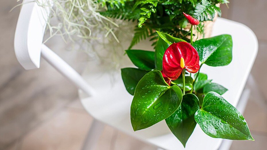 ShutterStock/Fotodom.ru 