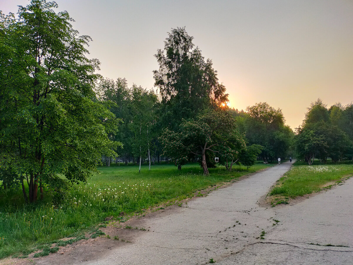 Утренняя пробежка, мне будет ее не хватать