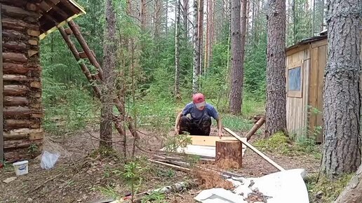 Видео Янинский лес на официальном сайте ПИК