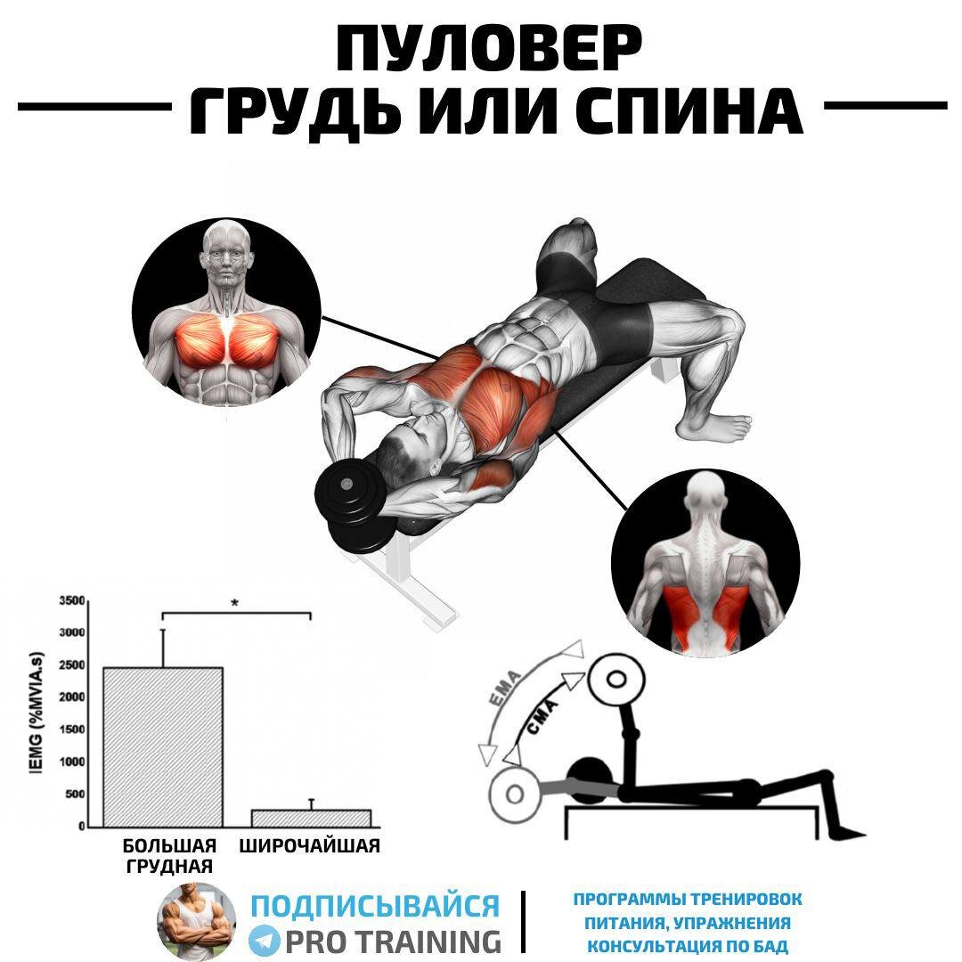 сокращения мышц во время оргазма фото 54