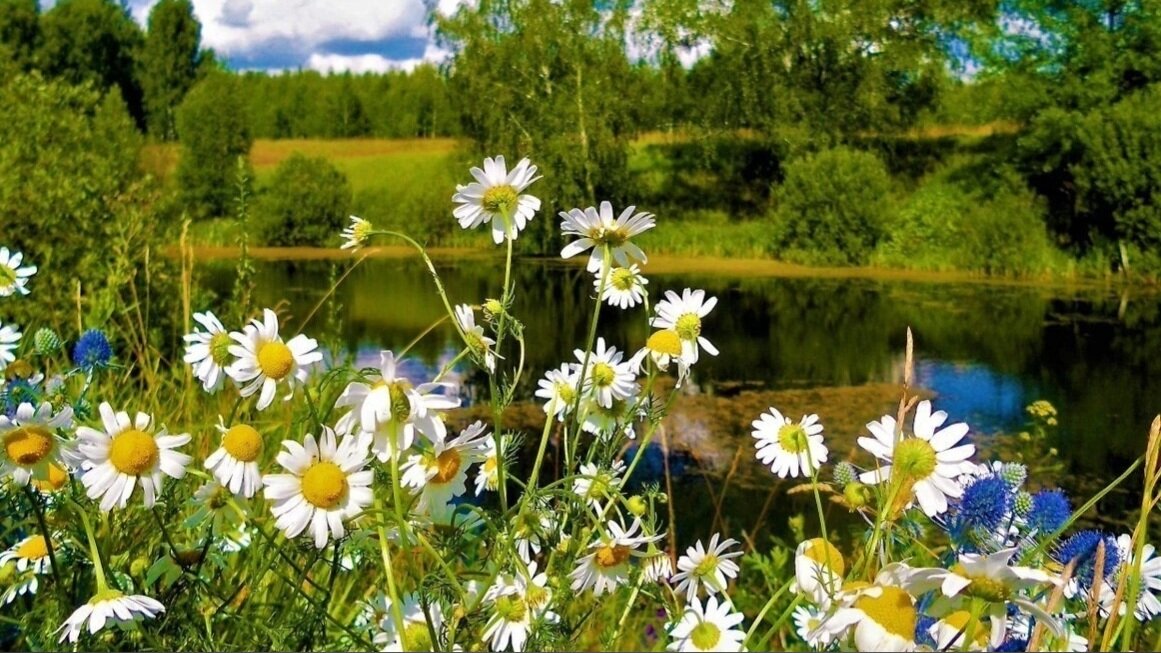 Фото автора.