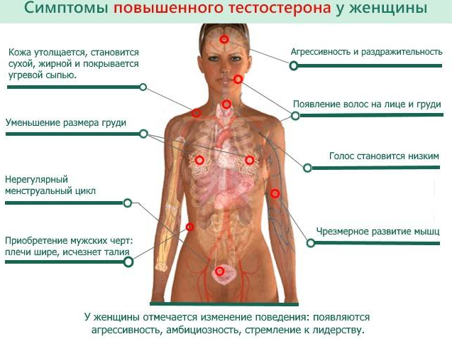 Как избыток тестостерона проявляется у женщин и откуда он? | Fit Build -  мир фитнеса и бодибилдинга | Дзен