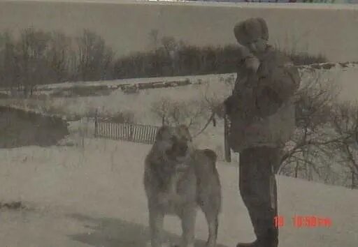 Кяфр (Кафр) с хозяином