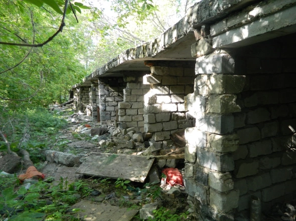 Фото: Михаил Лобанов 
