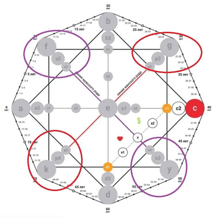 15 8 11 матрица судьбы кармический. Родовые программы в матрице судьбы. Линия рода в матрице судьбы. Родовые линии в матрице судьбы. Матрица судьбы шаблон.