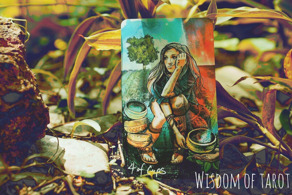 Фото автора. 4 кубков.