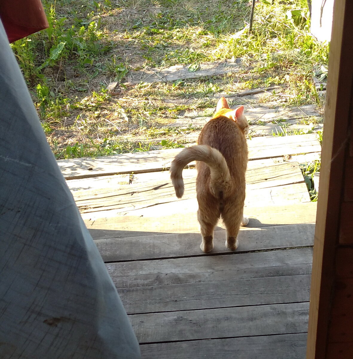 Личное  фото.